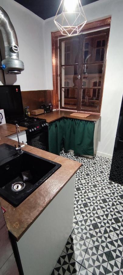 Private Apartament Wroniecka 6 - Parking 波兹南 外观 照片